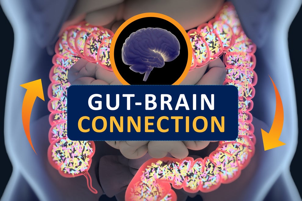 WNSC Hong Kong Info Card 2017 Issue 2 – Gut Microbiota Fact Sheet