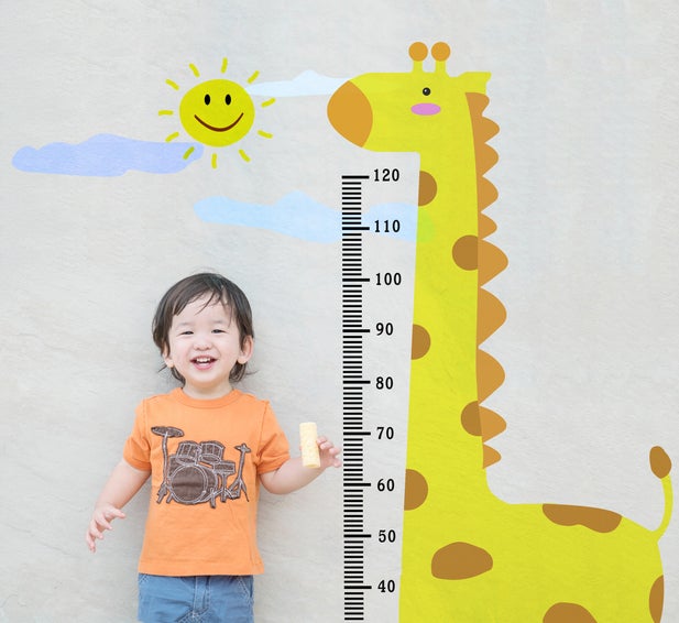 The WHO Child Growth Standards