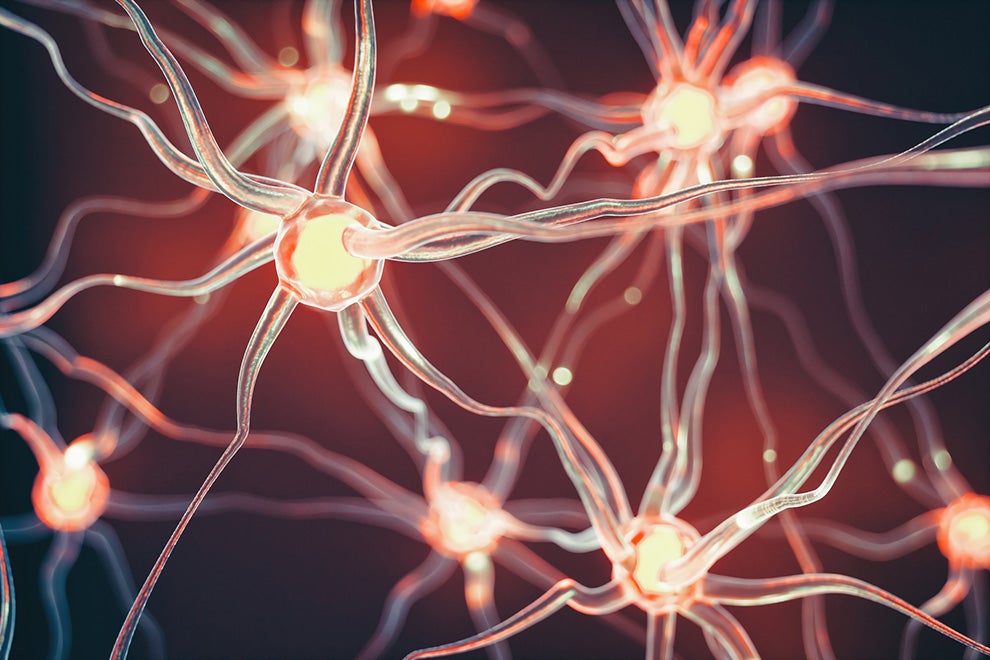 Neurons Neurons