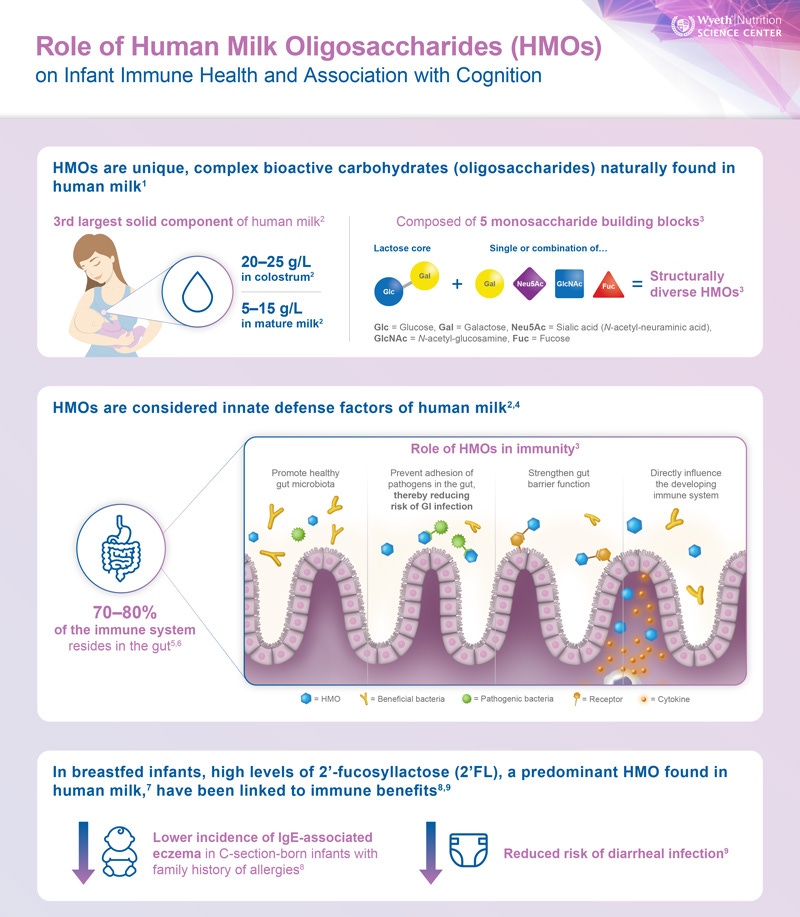 S-26-Connected-Learning-HMOs-Infographic-Digital-preview
