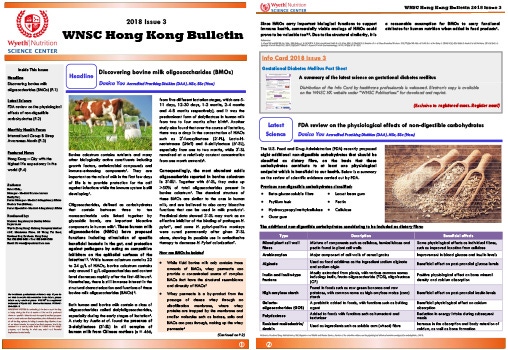 WNSC-HK-Bulletin-2018-Issue-3-thumb