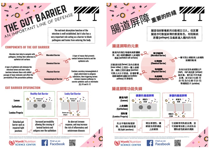 infographic-gut-barrier