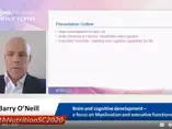 Brain and cognitive development