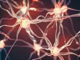 Levels of cholesterol, gangliosides and iron in breast milk are associated with early brain myelination