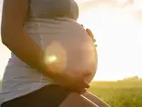 pregnant-woman pregnant-woman