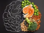 brain-food brain-food