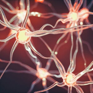 [Literature Library] The chat between neuronal cells via lipid metabolism