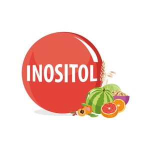 [Literature Library] Inositol and antioxidant supplementation: safety and efficacy in pregnancy