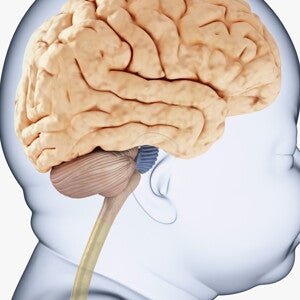 [Hot Science] Maternal iodine status and its impact on offspring language skills