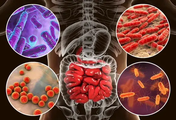 Shaping the care of prenates and neonates with microbiota