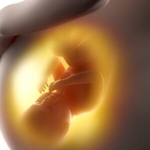 Maternal intake of seafood and omega-3 fatty acids and preterm birth