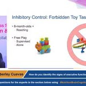 How do you identify the signs of executive functions in infants Prof. Kimberly Cuevas 30 Oct 2019
