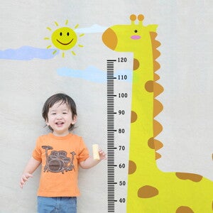 The WHO Child Growth Standards