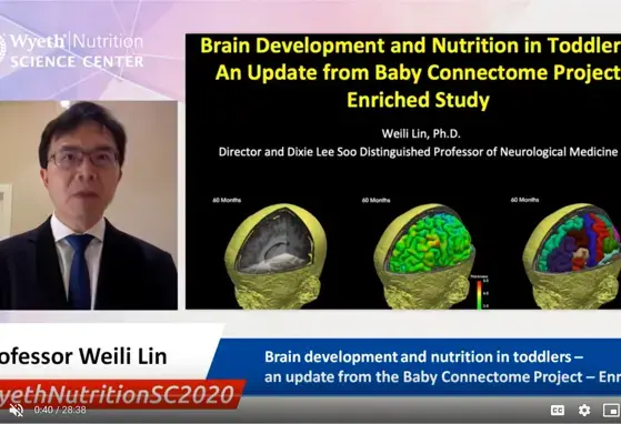 Brain development and nutrition in toddlers