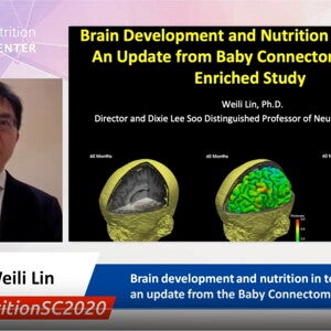 Brain development and nutrition in toddlers