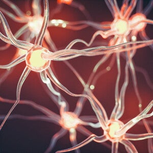 “The Learning Lead” Newsletter Volume 2 – Issue 1 (2020)