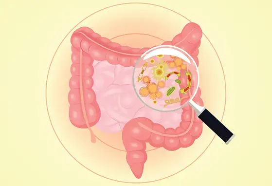 Early life presence of 6’SL alters microbiota, early life brain gene expression and long-term potentiation