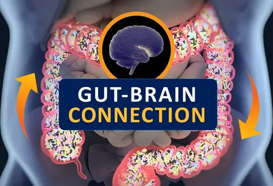 Glutamatergic gene expression mediates the relationship between gut bacteria and recognition memory in context of milk oligosaccharide intake