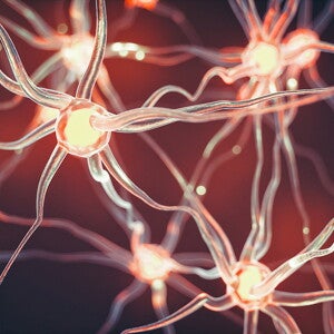 Levels of cholesterol, gangliosides and iron in breast milk are associated with early brain myelination 
