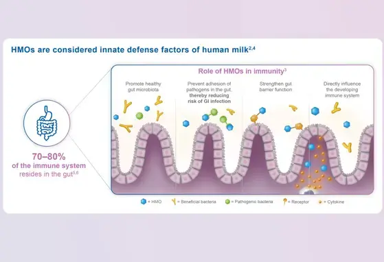 Role of HMOs on Infant Immune Health and Association with Cognition