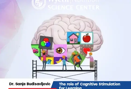 The role of Cognitive Stimulation for Learning, Sanja Budisavljevic