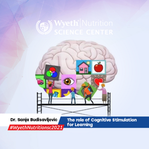 The role of Cognitive Stimulation for Learning, Sanja Budisavljevic
