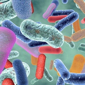 WNSC Hong Kong Bulletin 2021 Issue 3