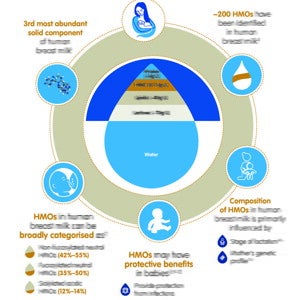 All About Human Milk Oligosaccharides