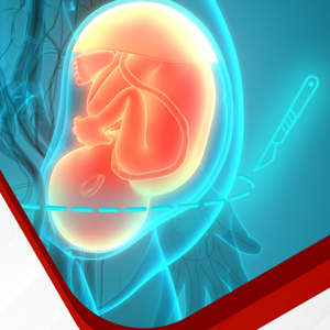 WNSC Learning Lead 2024 C-Section