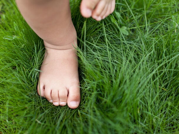 [Hot Science] Review paper on prevention and management of cow’s milk allergy