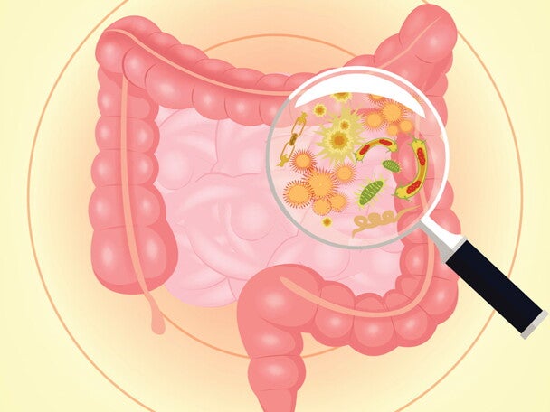 The capacity of short-chain fructo-oligosaccharides (FOS) to stimulate faecal bifidobacteria: a dose-response relationship study in healthy humans