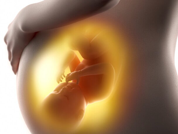 Maternal intake of seafood and omega-3 fatty acids and preterm birth