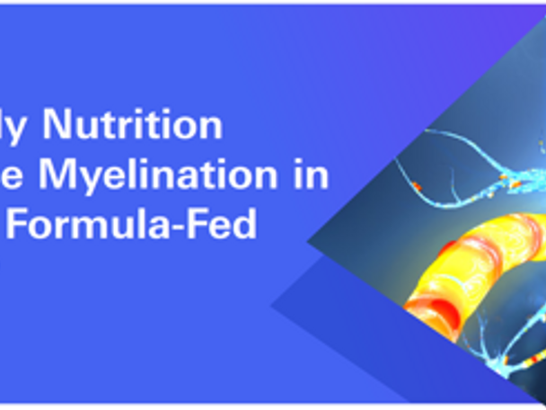 Can Early-Life Nutrition Influence Myelination In Healthy Formula-Fed Infants?