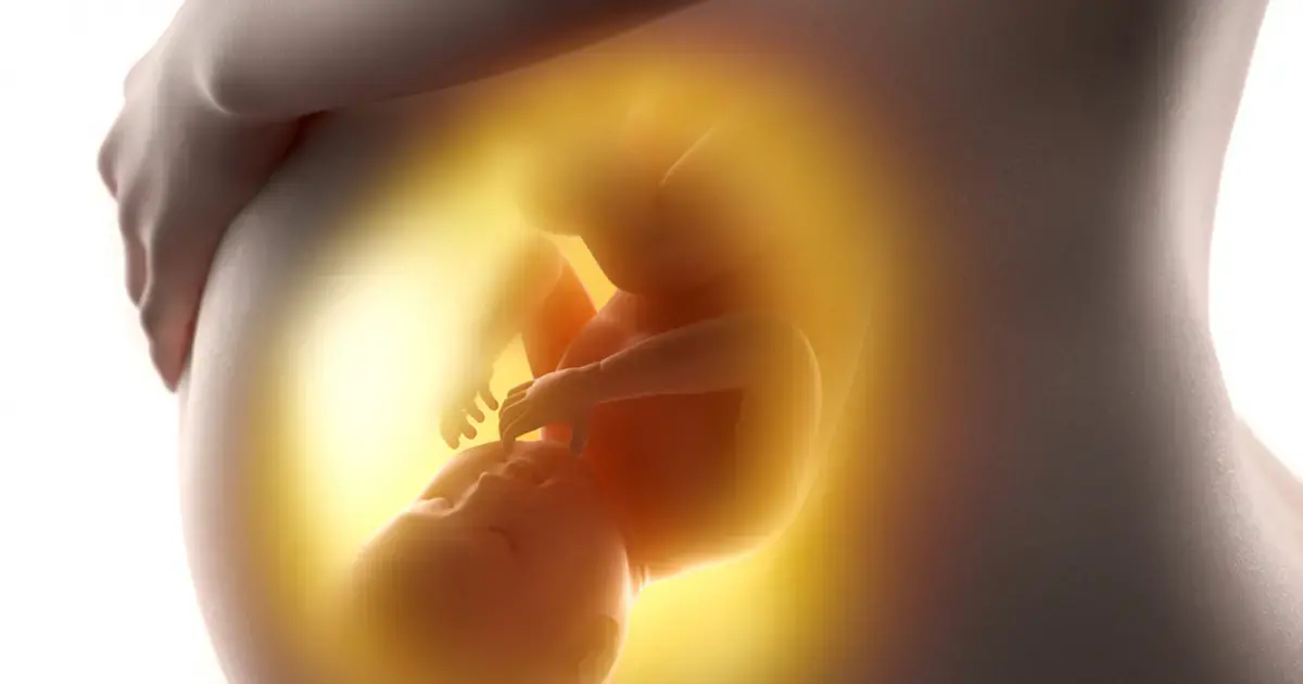 Vitamin D deficiency and preterm birth | Wyeth Nutrition Science Center ...